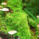世界体操单项赛赛场评分回放系统国际推广培训举行，世界体操联赛